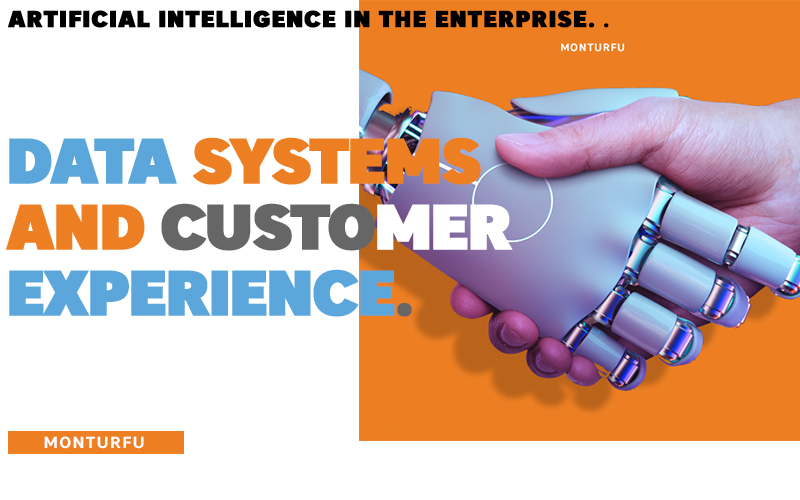 Artificial intelligence in the enterprise-Data-systems-and-customer-experience-01